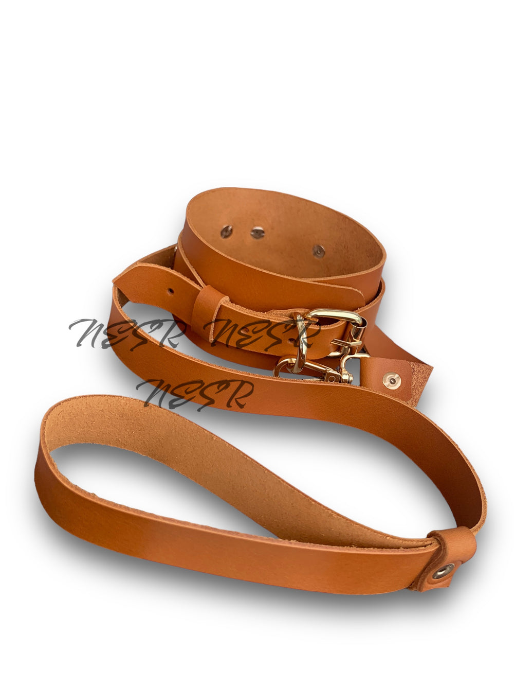 Leather collar with leash