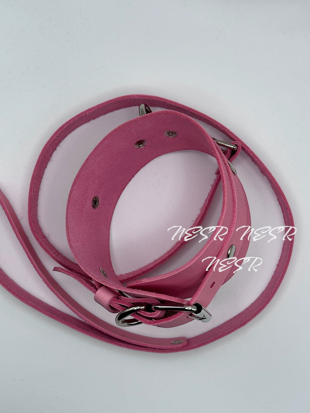 Leather collar with leash